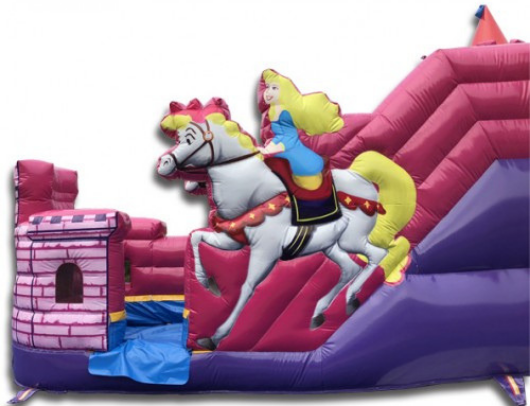 Princess Castle Combo Wet n Dry